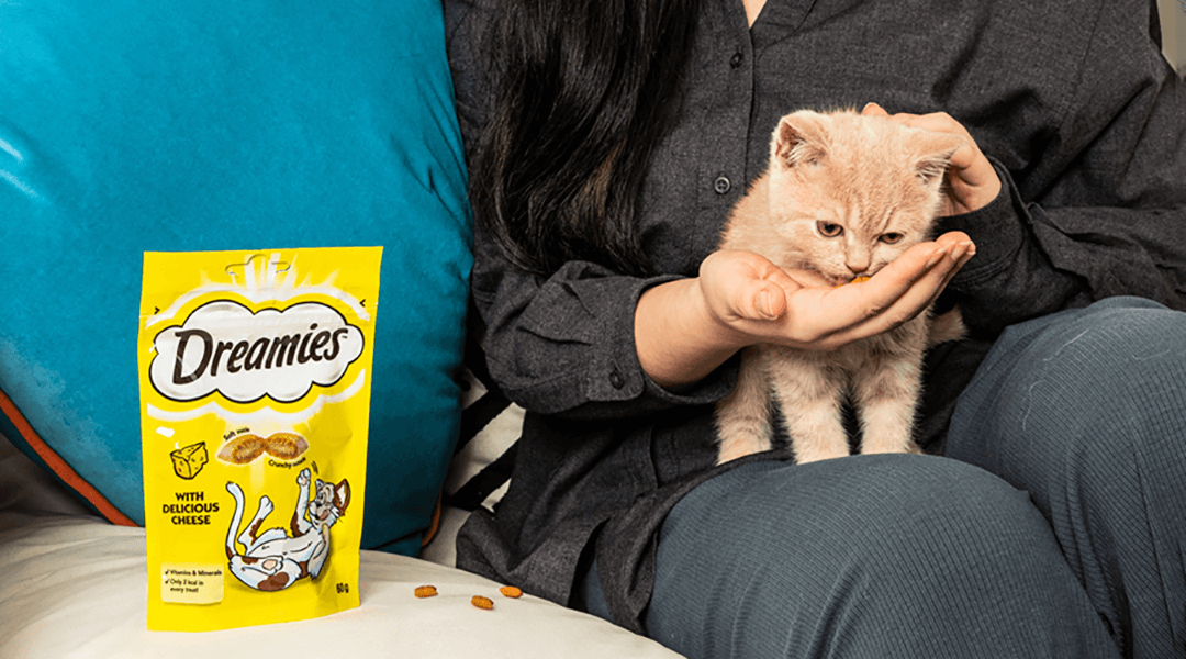when and why should i give my cat treats