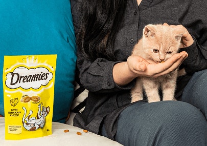 A lady feeding her kitten dreames snacks